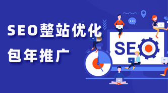 整站包年优化